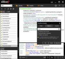 Lingea-Nemecky-slovnik-Platinum-ekonomicky-slovnik-technicky-slovnik-nahled-programu-software.cz.png